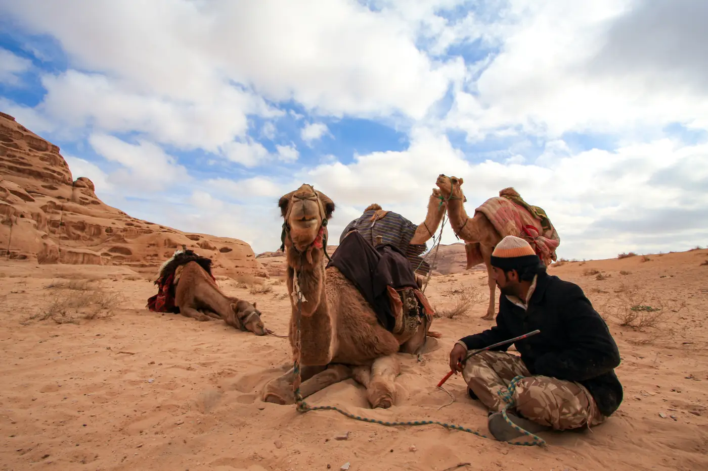 Cammelli e beduino nel deserto del Wadi Rum